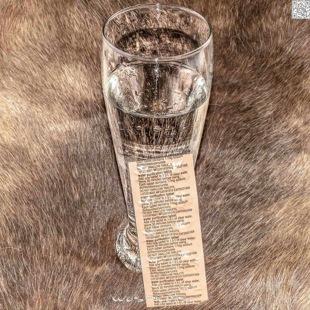 Vattenreningstabletter [10st] Army Water Purification Tablets, Rent